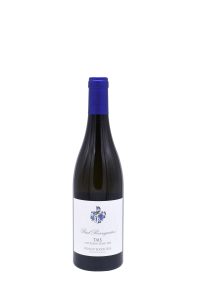 Sauvignon Blanc T.M.S. Ried Rosengarten 2018 vom Weingut Kodolitsch