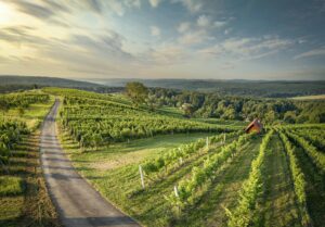 Weinbaugebiet Eisenberg, Burgenland