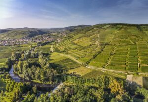 Weinbaugebiet Kamptal, Niederösterreich