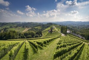 Weinbaugebiet Südsteiermark